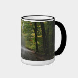 Fog in the Tree Tunnel mugs