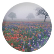 Foggy Bluebonnet Field Plate