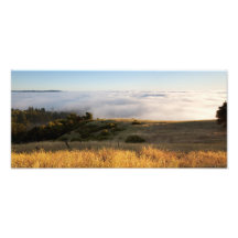 Foggy Santa Cruz Mountains Photo