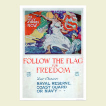 Follow the Flag of Freedom (US02179) posters