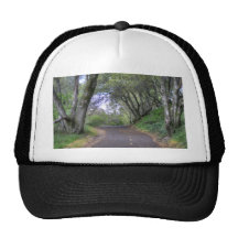 Folsom Bike Trail Trucker Hat