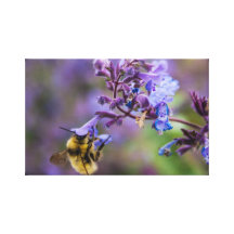 Food For Thought Stretched Canvas Print