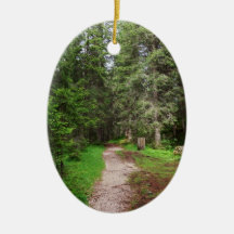 footpath on forest ornaments