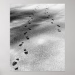 Footprints in Snow