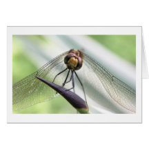 for you card