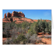 Forest at Cathedral Rock Greeting Cards