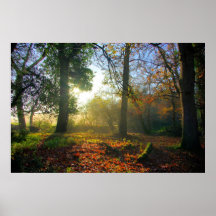 Forest Dream Poster
