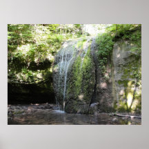 Forest Falls Poster