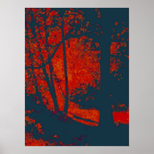 FOREST FIRE 1 POSTERS