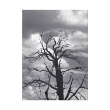 Forest Fire Canvas Prints