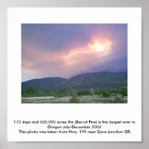 Forest Fire Posters