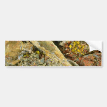 Forest floor bumper sticker