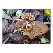 Forest floor cards