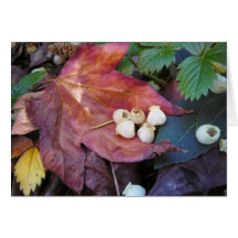 Forest floor. greeting card