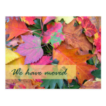 Forest Floor New Address Template Postcard