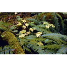 Forest floor photo sculptures