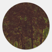 forest green at night sticker