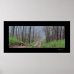 Forest Mist Poster