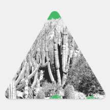 Forest of Cacti Sticker