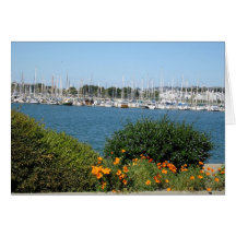 Forest of masts card