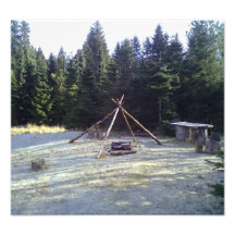 Forest Resting Place Photograph