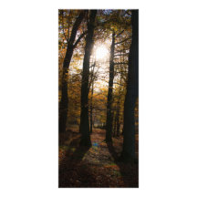 Forest sun personalized rack card