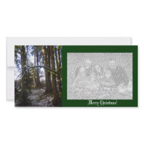 Forest Sun Rays in the Snow #32