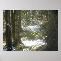 Forest Sun Rays in the Snow #48 Poster
