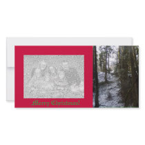 Forest Sun Rays in the Snow #53 Photo Card