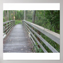Forest Trail Print