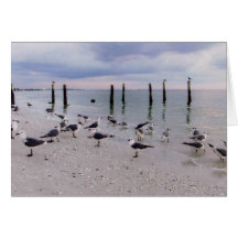 Fort Myers Beach birds Card