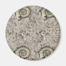 fossil background fridge magnets