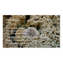 Fossil in limestone business card template