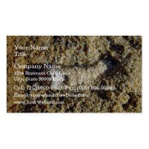 Fossil root in limestone business card templates