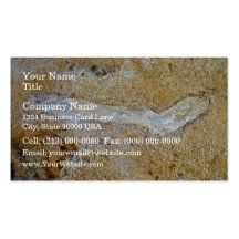 Fossil twig in limestone business cards