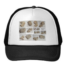 FOSSILIZED MAMMAL VERTEBRA HATS