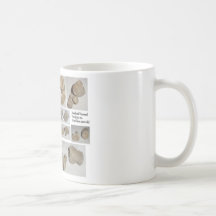 FOSSILIZED MAMMAL VERTEBRA MUG
