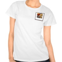 Four Dessert Panel on Chocolate Brown Tee Shirt