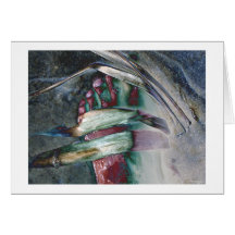 four fingers greeting card