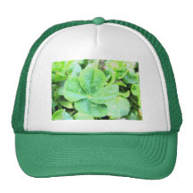 FOUR LEAF CLOVER MESH HATS