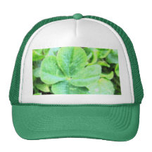 FOUR LEAF CLOVER MESH HATS