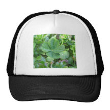 Four leaf clover mesh hats