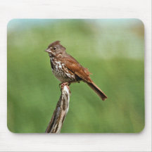 Fox Sparrow Mousepads