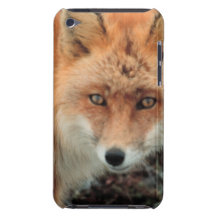 Fox Species iTouch Case iPod Touch Case-Mate Case