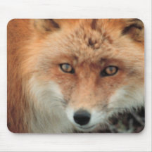 Fox Species Mouse Pad