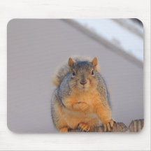Fox Squirrel Mouse Mats