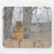 Fox Squirrel Mouse Pad