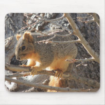 Fox Squirrel Mousemats