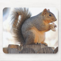 Fox Squirrel Mousepads