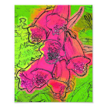 FOXGLOVES PHOTOGRAPH